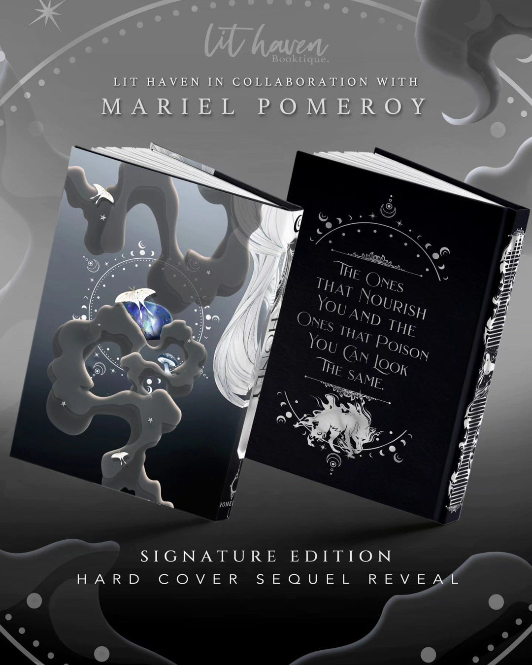 Honey Signature Edition Preorder – Lit Haven Booktique