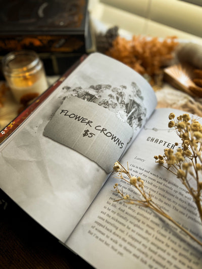 Lit Haven Booktique Book MINOR SCRATCH & DENT | Bourbon & Lies Hardcover Edition