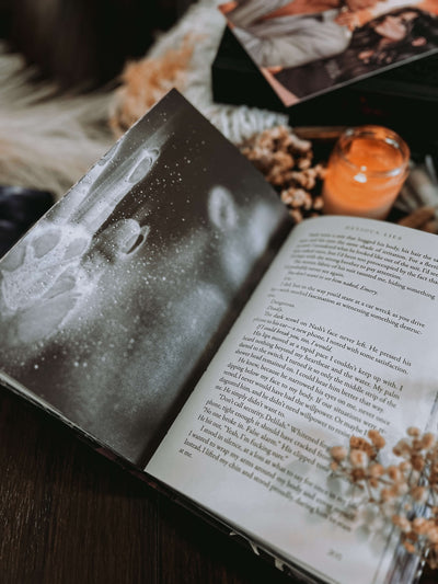 Lit Haven Booktique Book OVERSTOCK | Devious Lies Hardcover Edition