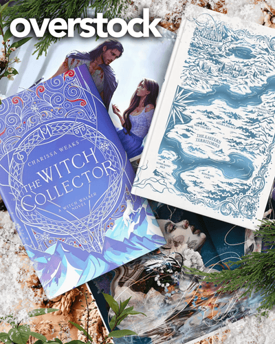 Lit Haven Booktique Book OVERSTOCK| The Witch Collector