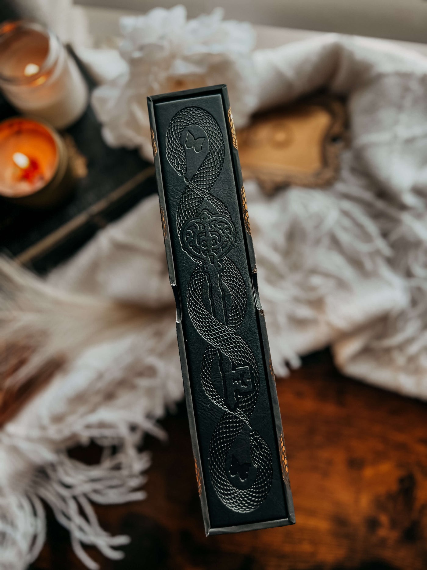 Lit Haven Booktique Book SCRATCH & DENT | Hollow & Legend Omnibus
