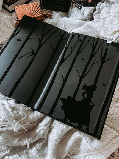 Lit Haven Booktique Book SCRATCH & DENT | Hollow & Legend Omnibus