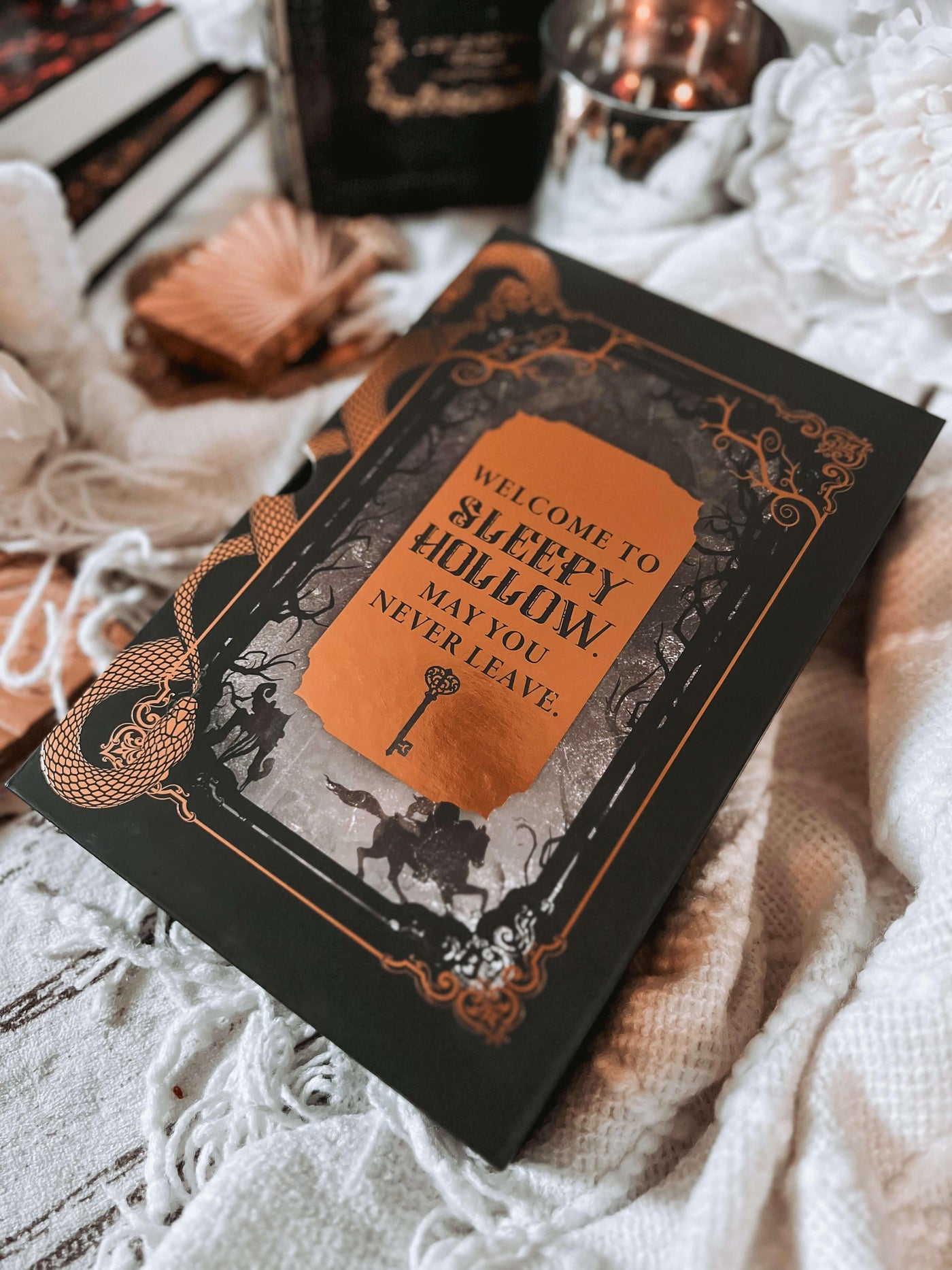 Lit Haven Booktique Book SCRATCH & DENT | Hollow & Legend Omnibus