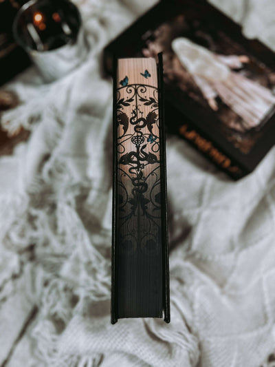 Lit Haven Booktique Book SCRATCH & DENT | Hollow & Legend Omnibus