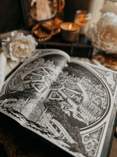 Lit Haven Booktique Book SCRATCH & DENT | Hollow & Legend Omnibus