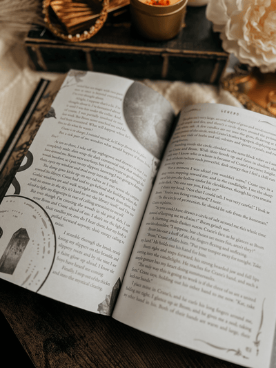 Lit Haven Booktique Book SCRATCH & DENT | Hollow & Legend Omnibus