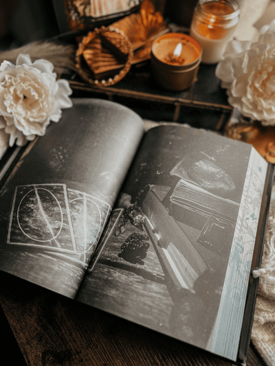 Lit Haven Booktique Book SCRATCH & DENT | Hollow & Legend Omnibus