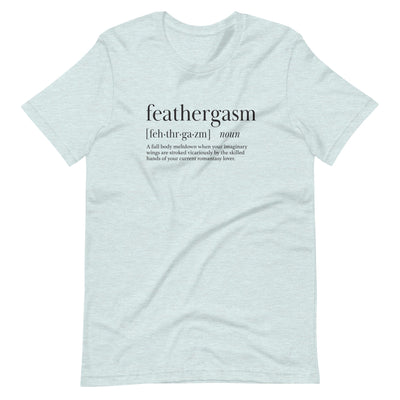 Lit Haven Booktique T-Shirt Heather Prism Ice Blue / XS Feathergasm tee