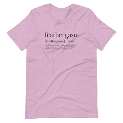 Lit Haven Booktique T-Shirt Heather Prism Lilac / XS Feathergasm tee
