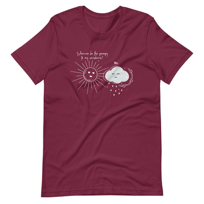Lit Haven Booktique T-Shirt Maroon / XS Grumpy Cloud tee